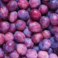 i-plum